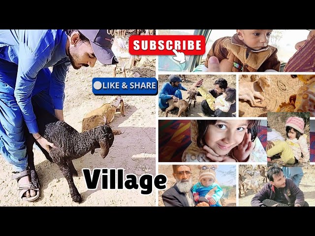 Mere Gaon Ka Vlog ❤️ | Hoorain Bakri Se Dar Gai | Village Vlog | Hey Life