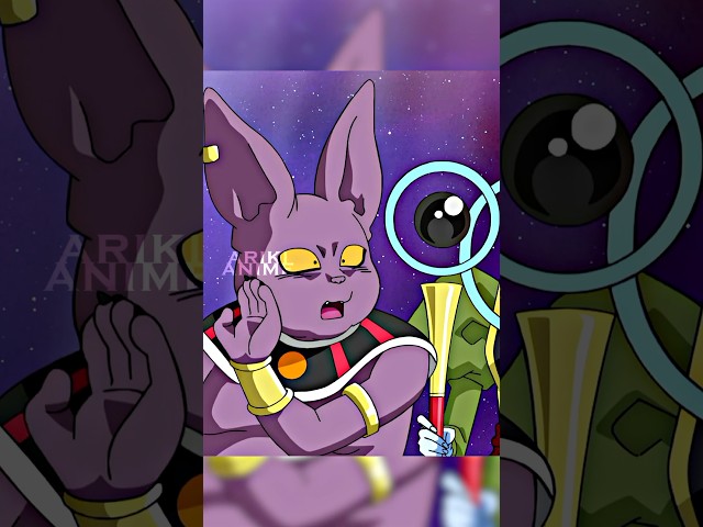 Beerus Makes Champa Look Stupid😂