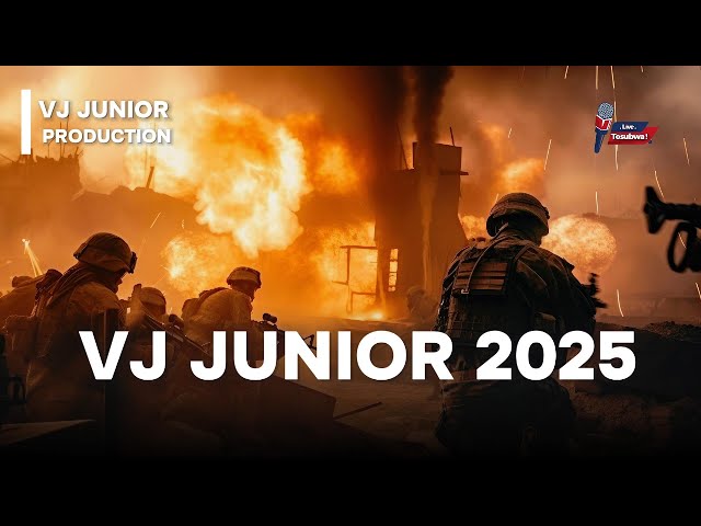 This Movie Scene Made Everyone GASP in 2025 - VJ Junior Translated Movie