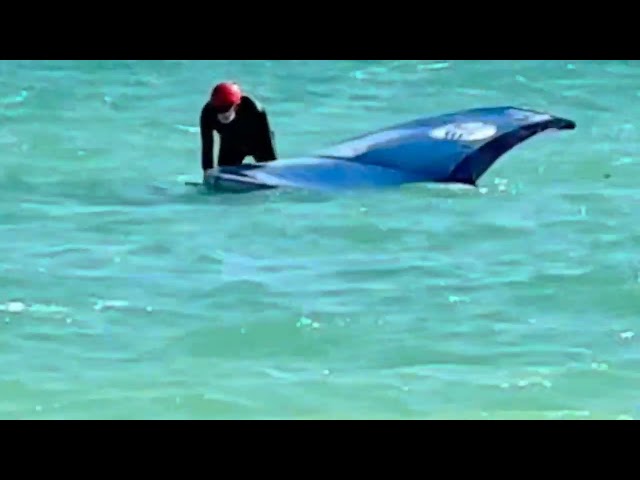 Wind Surfer Struggles #windsurf #beach #sanibel #fortmyersbeach #gulfofmexico #watersport