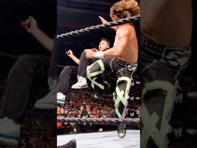 DX vs Mr McMahon & Shane McMahon