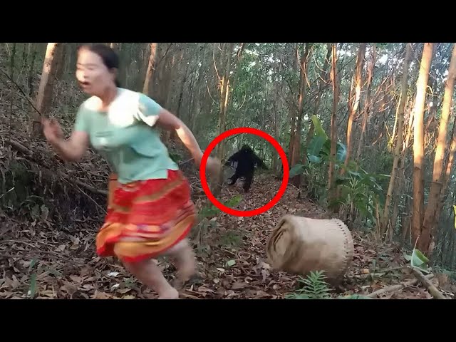 Top 15 Scary Videos That'll Make You Scream 'OH NO'