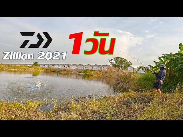 ตกปลาด้วยรอก Daiwa zillion SV TW 2021