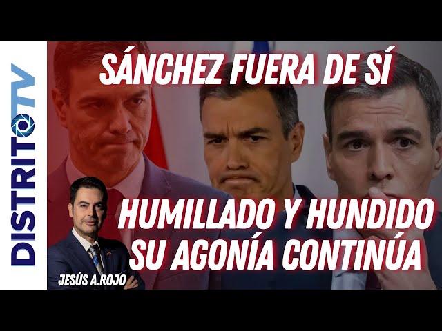 Jesús Á.Rojo: 🔴SÁNCHEZ FUERA DE SÍ🔴 HUMILLADO y HUNDIDO a la espera de una AGÓNICA CAÍDA