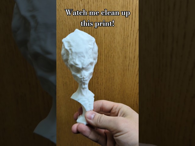 Watch me clean up this print! #statue #3dprinter #3dprinting #flashforge #propreplica #replica