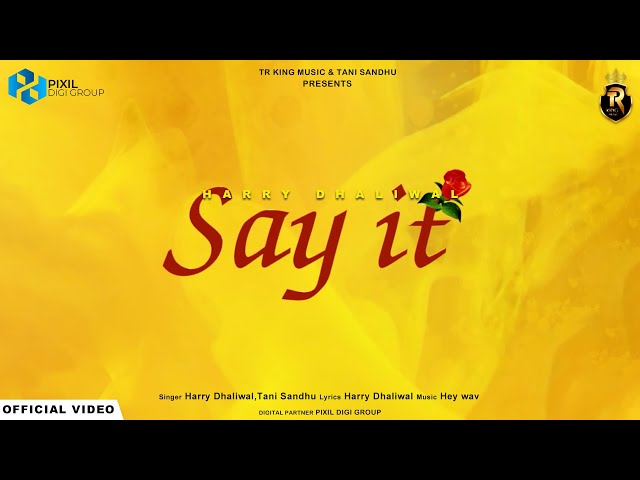 SAY IT - Harry Dhaliwal - TR King Music -  New Punjabi Romantic Songs 2024 - Latest Romantic Songs