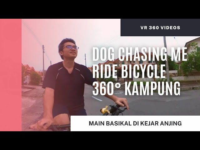 VR 360 Video Bicycle Ride chase by Crazy Dogs 4K #insta360