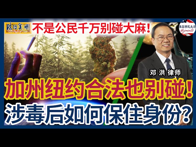 华人常犯影响移民身份刑案4：不是公民身份千万别碰！加州纽约华盛顿合法也别和大麻沾边！青少年不慎沾染毒品怎么办？被控涉毒后，如何保住移民身份？可以认罪戒毒而脱罪吗？| 法治美国 | 邓洪律师