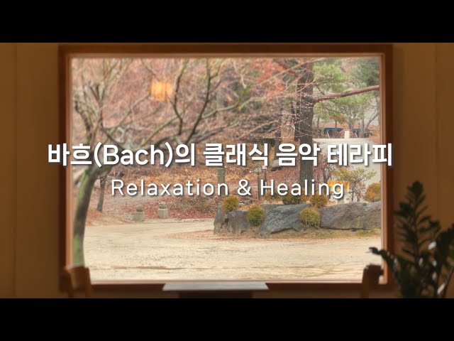 [2시간🎵] 바흐(Bach)의 클래식 음악 테라피 ｜ 심신안정 독서 위로 🌦️ ☔ ☕ 📚 😄 💗 ｜ Solace Korea