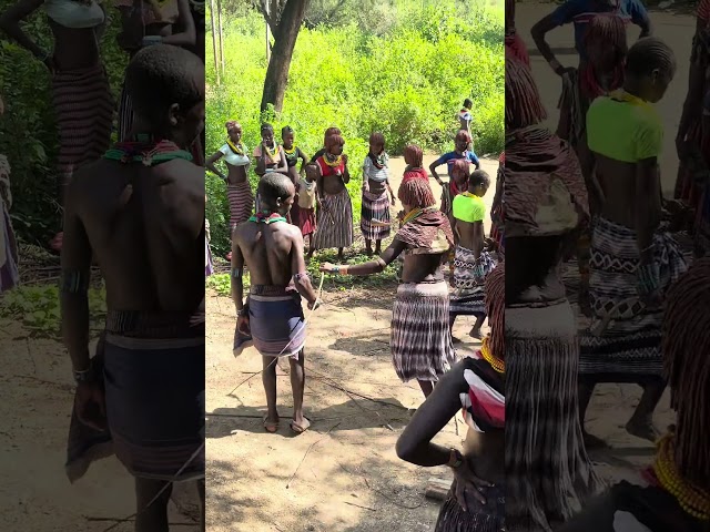 Marriage in hamer tribe #tribalmarriage #africantribes #shortvideo