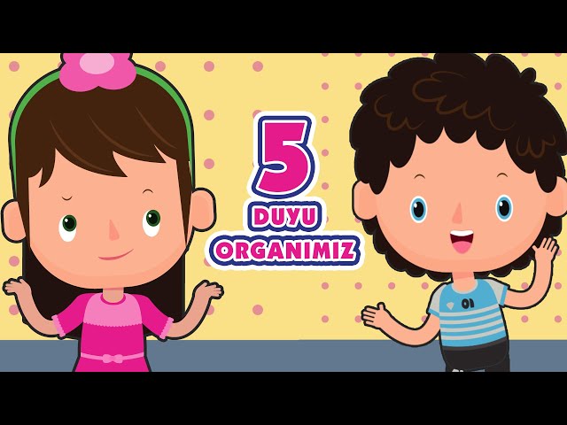 5 Duyu Organımızı Tanıyalım | Eğlenceli ve Eğitici Çocuk Şarkısı | Tatlış Tavşan