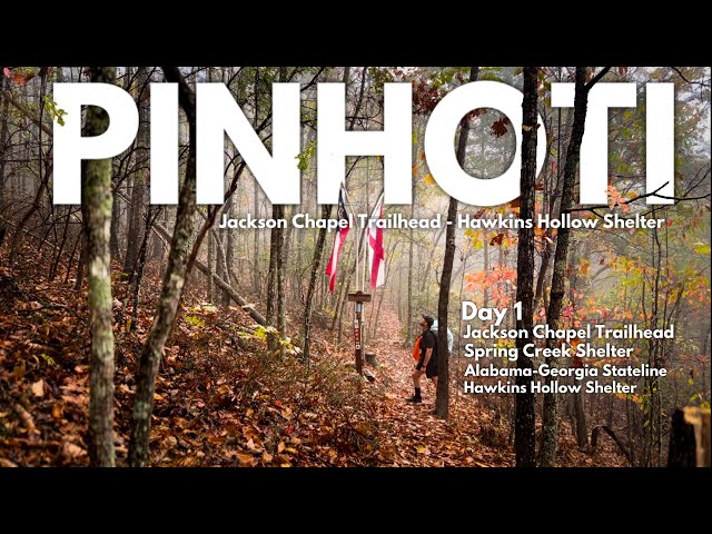 HIKING THE PINHOTI  |   Jackson Chapel Trailhead – Hawkins Hollow Shelter  #pinhotitrail