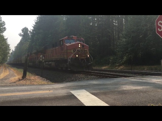 Freight Trains at Dwight Road Ft. Amtrak Boxcar