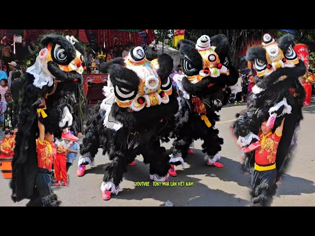 Múa Lân Đen Cực Ngầu 2024 LSR Ba Gioi / Đánh Trống Múa Lân Việt Nam / Tony Lion Dance Black