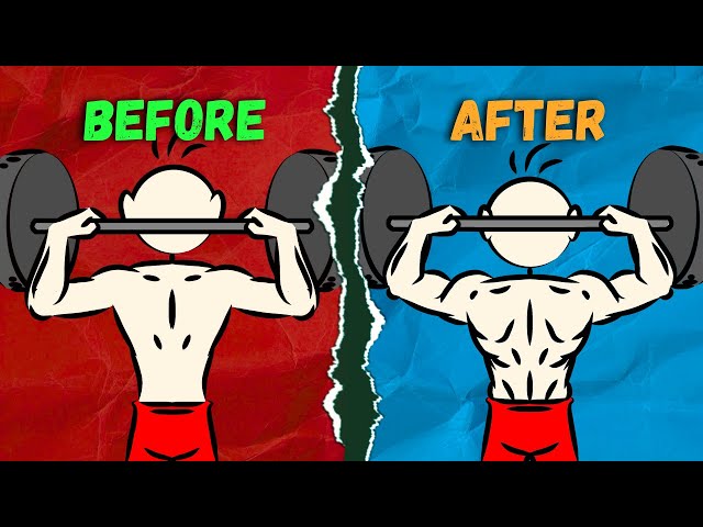 Top 8 Best Exercises for Building Back Muscles (Effective Back Workout) | Fitness Animated