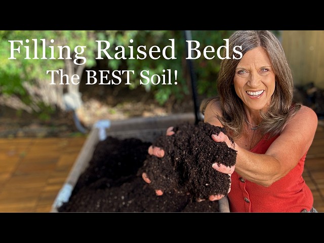 The BEST Soil for Raised Beds to Grow More Vegetables! (Plus DIY Rolling Garden Bed Dolly)