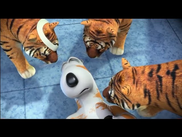 Bernard Bear | Backkom in Tigers And More | Cartoons for Kids Children