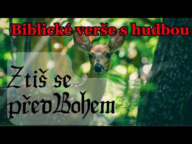 Ztiš se před Bohem • Boží slovo (čtené, text, hudba)