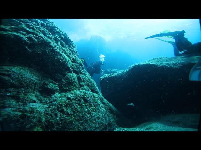 VR 360 Diving Nikon key mission Azores Santa Maria