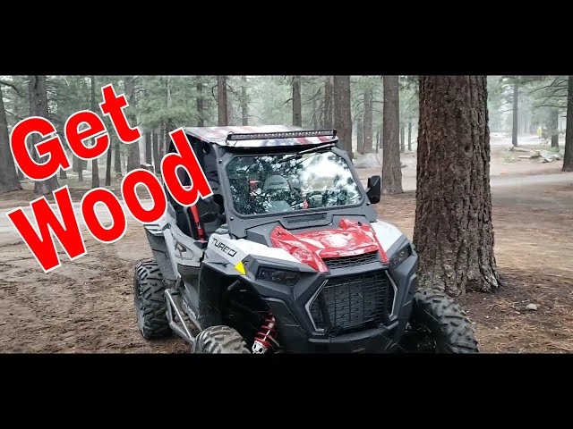 Getting wood with the RZR Turbo while camping Mammoth Lakes RV Park