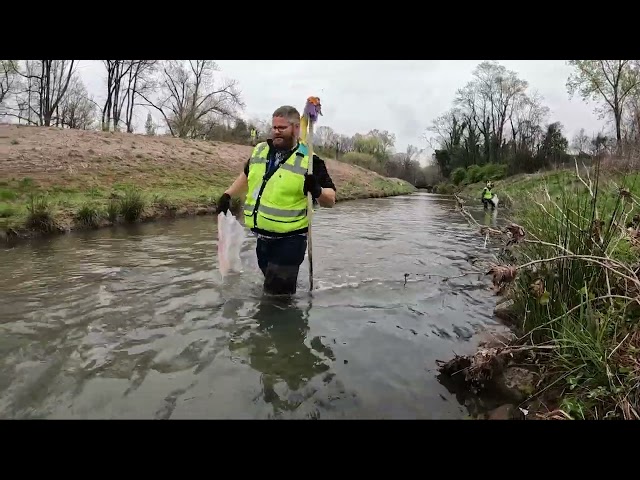 STORMWATER POLLUTION