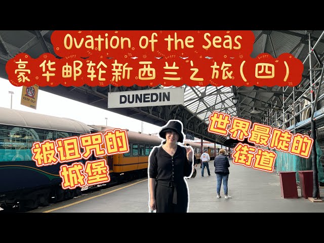 【澳洲生活-旅游篇】豪华邮轮Ovation of the Seas新西兰13天之旅EP.4 Port of call—Dunedin(达尼丁）