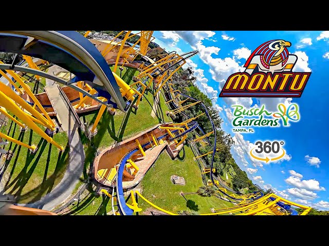 VR 360 Montu Roller Coaster Front Row On Ride POV Busch Gardens Tampa 2024 09 19