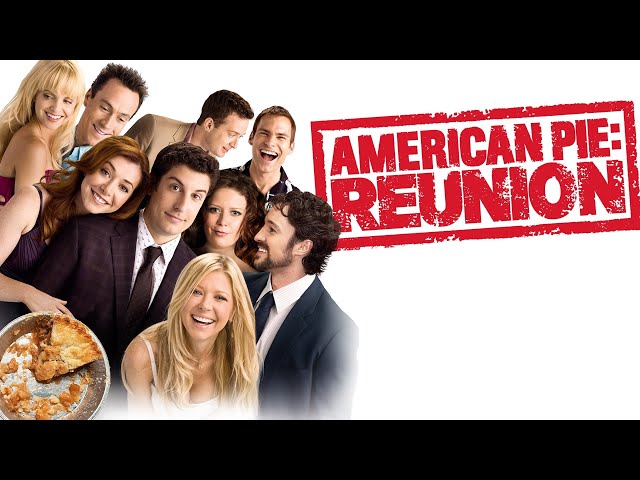 American Pie: Reunion - Movie Summary