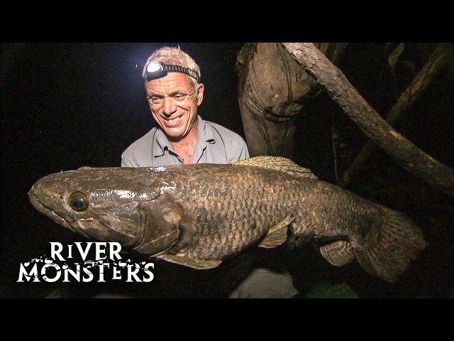 The BIGGEST FISH caught in Season 3 of River Monsters