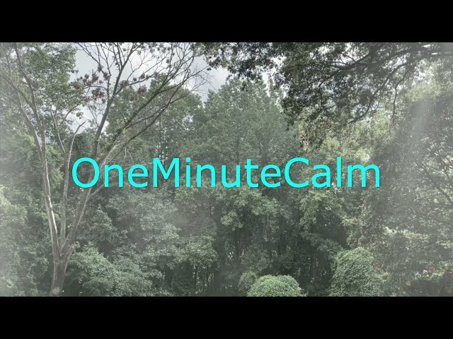 One Minute Calm | Calming Rain 14 | Mindful 1 Minute Meditation