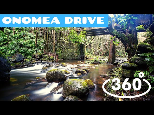 360 Degree Video - Onomea Scenic Drive in Hilo