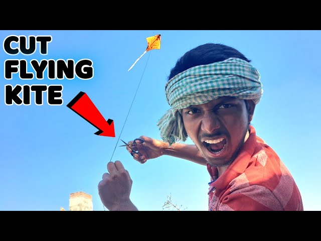 Cut the rope while flying a kite 😲😲 || Kite flying || Kite fighting #kite #kiteflying #patang #viral