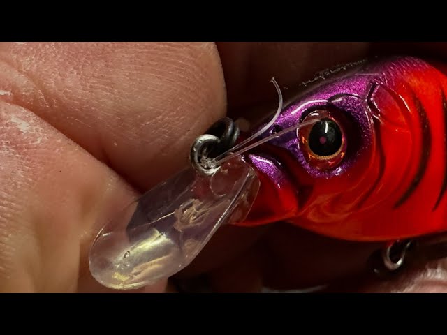 THIS May Best The Best February Lure Ever…