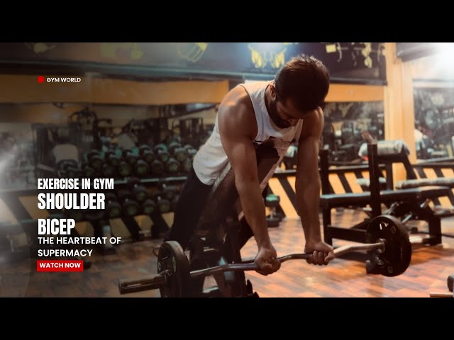 Shoulder and Bicep Workout to Make Bigger Arms Shoulder and Bicep