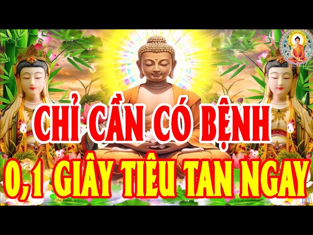 Ai Đang Mang Nghiệp Lớn Bệnh Tật Khổ Đau Mãi Theo Bám Nghe Tụng Sám Hối Như Ý Nguyện Bình An