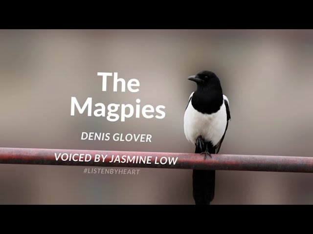 THE MAGPIES by Denis Glover, read by Jasmine Low