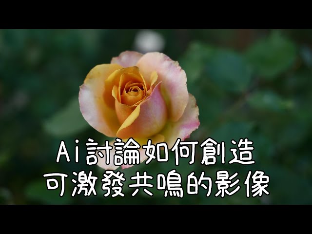 Ai討論如何創造激發共鳴的影像。Ai discuss how to create images to inspire empathy