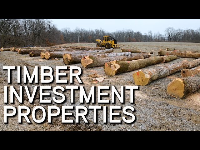 Timber Investment Properties | What To Look For