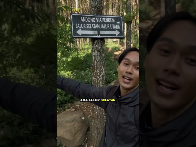 GUNUNG ANDONG COCOK BUAT PEMULA #gunungandong #gunung #shorts #vlog #hiking #traveling