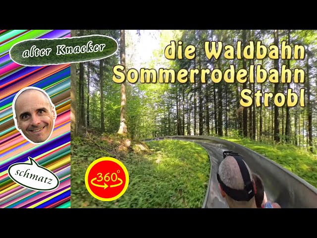 #alterKnackerSchmatz die Waldbahn der Sommerrodelbahn Strobl am Wolfgangsee - 360° Video | RY-00251