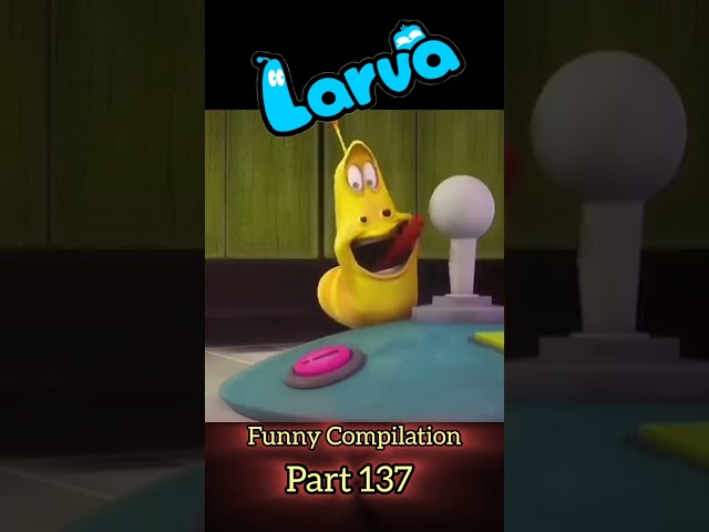 LARVA - 🐛 Funny Compilation in Larva Tube! | Compilation 2025 | Part 137