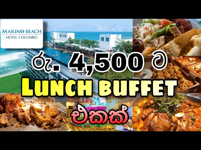 Lunch Buffet 🤩| Marino Beach Hotel Colombo @DIARIESOFLIFE_22  #buffet #lunchbuffet