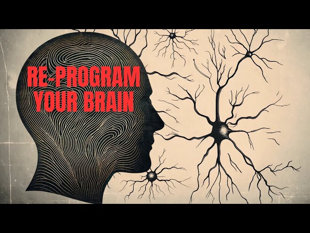 How to Reprogram the 95% of Your Mind That Controls Your Life