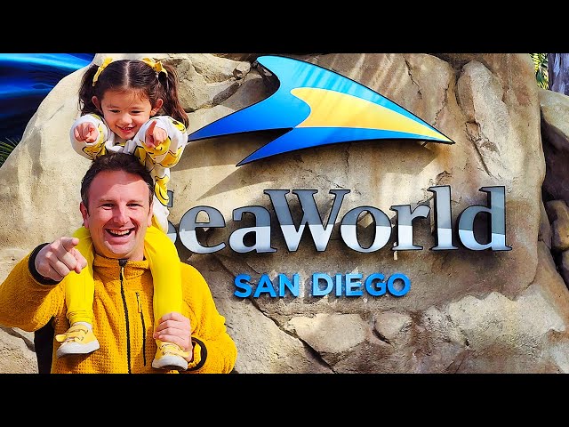 SEA WORLD SAN DIEGO: 11 Things to Know Before You Go