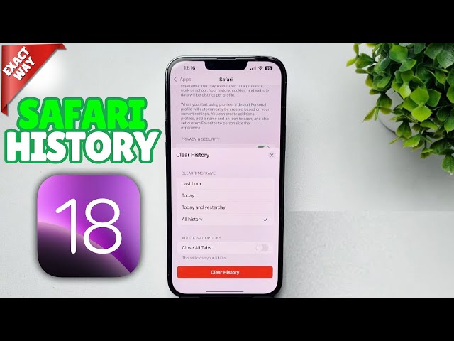 iOS 18: How To Clear History on Safari in iPhone