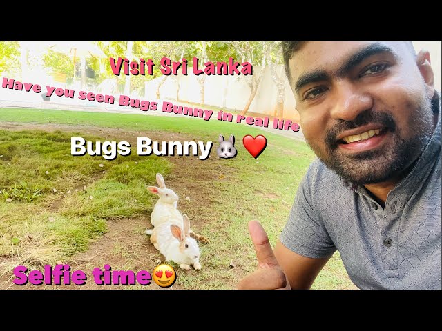 Bugs Bunny in 🇱🇰Selfie time ❤️ #visitsrilanka #travel