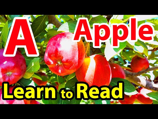 Phonics ABC SONG English Alphabet Educational Videos for Kids Kindergarten Learning Preschool Videos