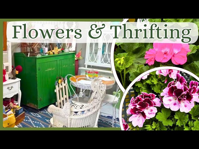 Thrift with me for Home and Garden Decor // Garden Flower Shopping!