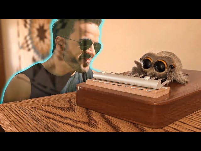 Lucas the Spider plays Despacito