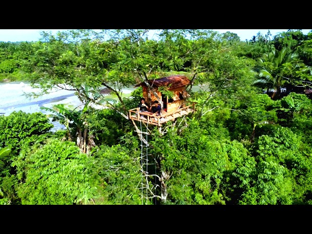 Camping in a Luxury Tree House Shelter During Heavy Rain